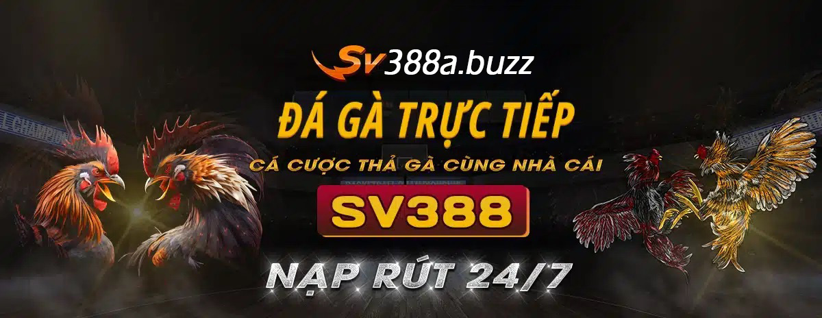 banner-sv388a