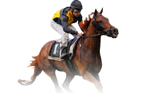 horsebook-sv388